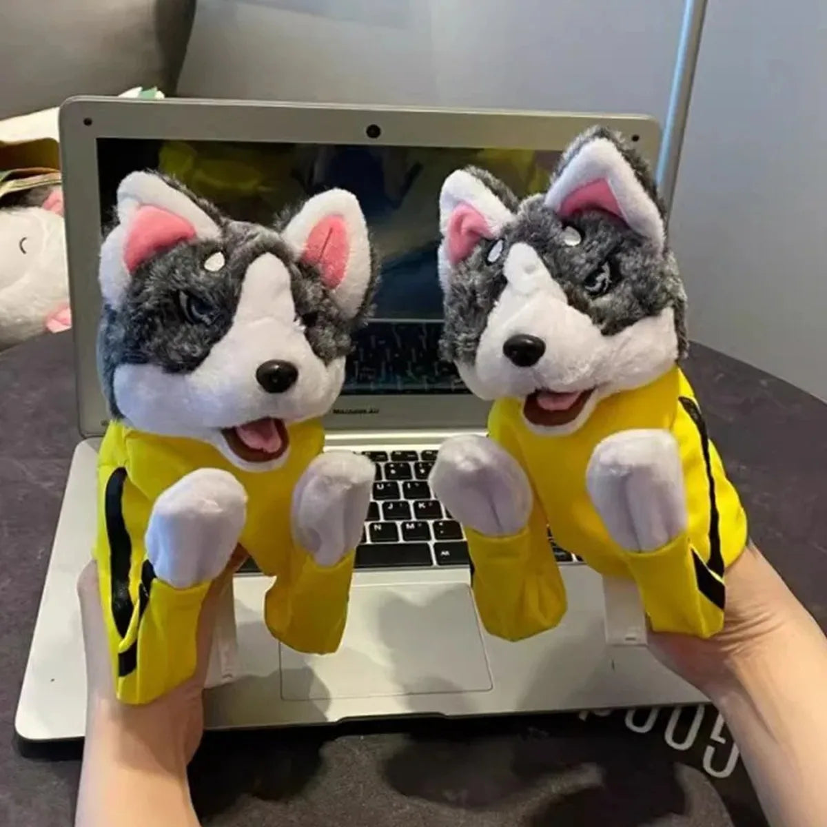 The boxing husky puppet holding down an office desk